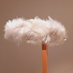 Izstāde “Stāsti manim, vainadziņi”