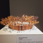 Izstāde “Stāsti manim, vainadziņi”