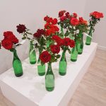 rožu kolekcijas izstāde no rožu dārza “Rozītes”