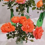 rožu kolekcijas izstāde no rožu dārza “Rozītes”