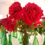 rožu kolekcijas izstāde no rožu dārza “Rozītes”