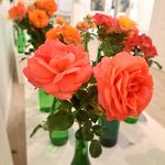 rožu kolekcijas izstāde no rožu dārza “Rozītes”