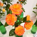 rožu kolekcijas izstāde no rožu dārza “Rozītes”