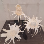 Izstāde “Uz zemeslodes, zem saules”