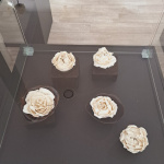 Izstāde “Uz zemeslodes, zem saules”