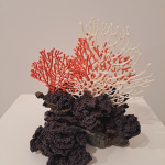 Izstāde “Uz zemeslodes, zem saules”