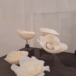 Izstāde “Uz zemeslodes, zem saules”